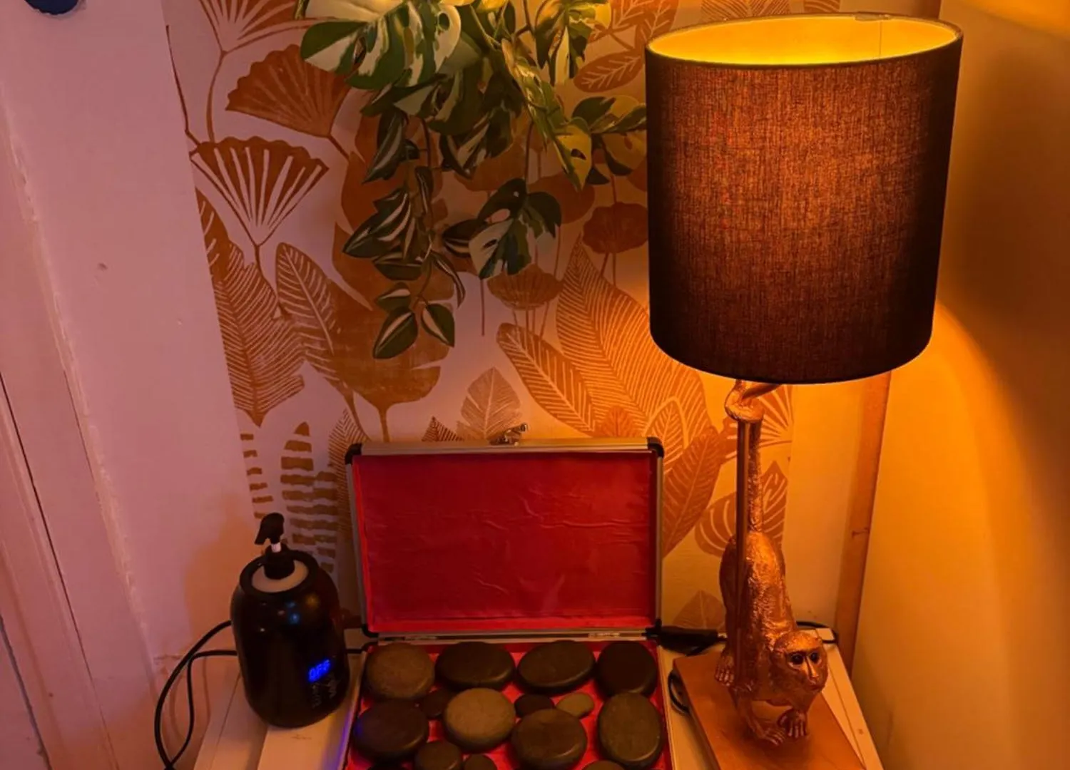 Homestay Calme Cosy Avec Wi-Fi Pres Du Parc Apartment Caluire-et-Cuire France